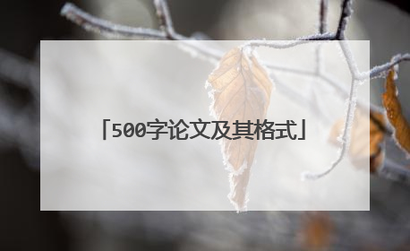 500字论文及其格式