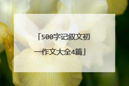 500字记叙文初一作文大全4篇