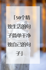 50个精致生活的句子简单干净致自己的句子