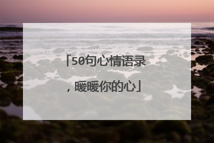 50句心情语录，暖暖你的心