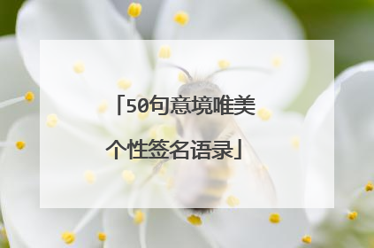 50句意境唯美个性签名语录