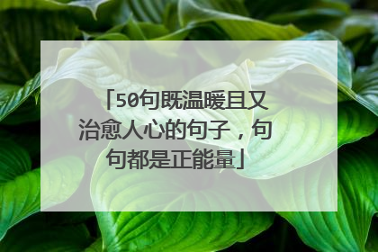 50句既温暖且又治愈人心的句子,句句都是正能量