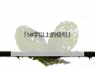 50字以上的佳句