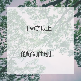 50字以上的好词佳句