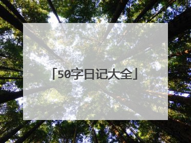 50字日记大全