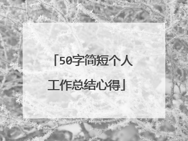 50字简短个人工作总结心得