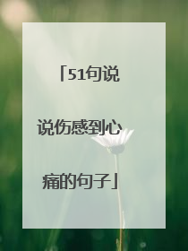 51句说说伤感到心痛的句子
