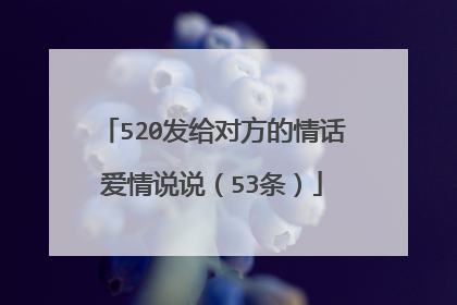 520发给对方的情话爱情说说（53条）
