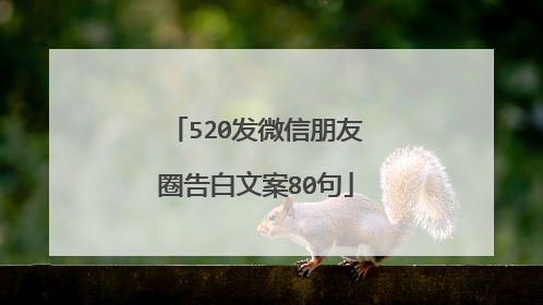 520发微信朋友圈告白文案80句