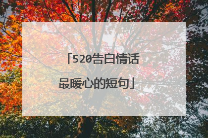 520告白情话最暖心的短句