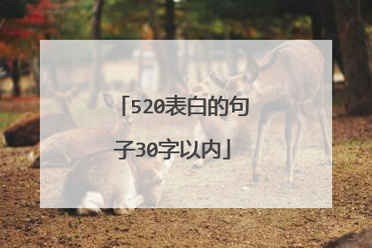 520表白的句子30字以内