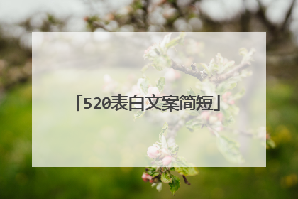 520表白文案简短