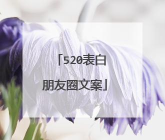 520表白朋友圈文案
