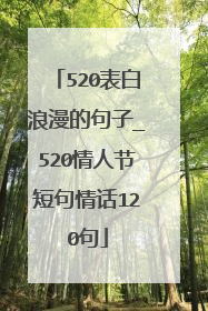 520表白浪漫的句子_520情人节短句情话120句