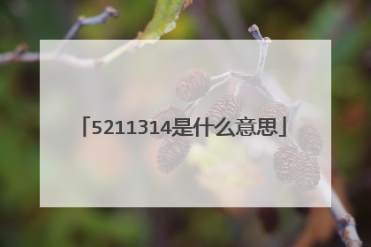 5211314是什么意思