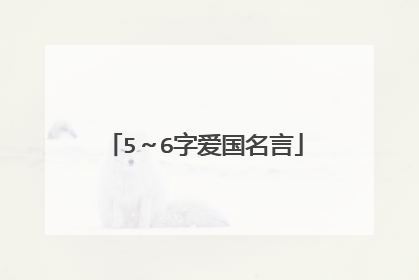 5~6字爱国名言