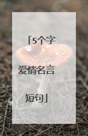 5个字爱情名言短句