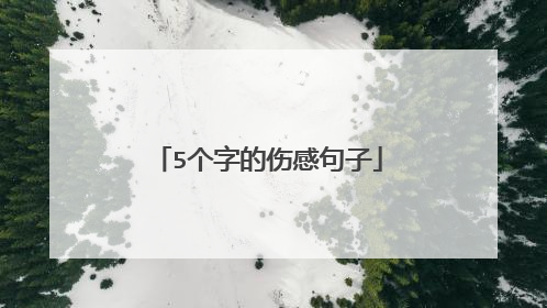 5个字的伤感句子
