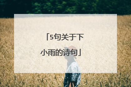 5句关于下小雨的诗句