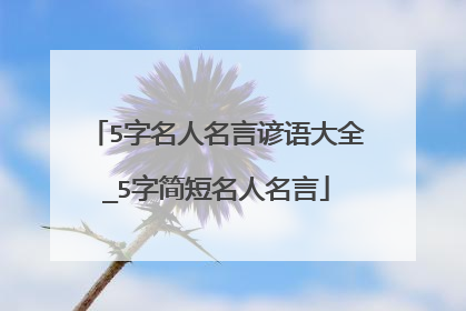 5字名人名言谚语大全_5字简短名人名言