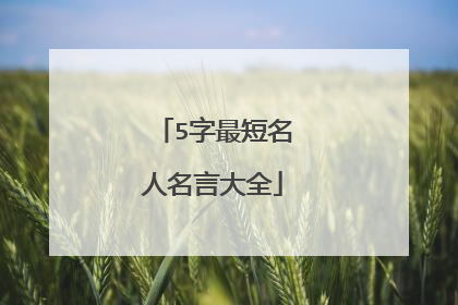 5字最短名人名言大全