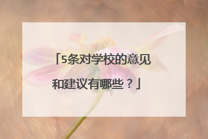 5条对学校的意见和建议有哪些？