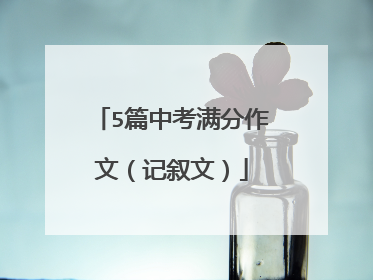 5篇中考满分作文(记叙文)
