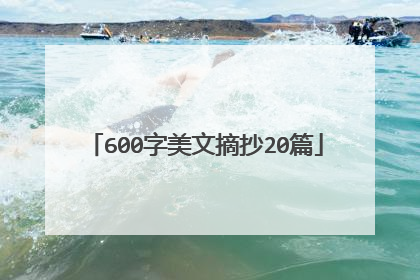 600字美文摘抄20篇