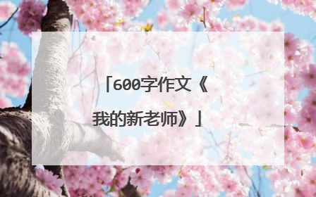 600字作文《我的新老师》