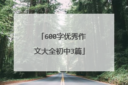 600字优秀作文大全初中3篇