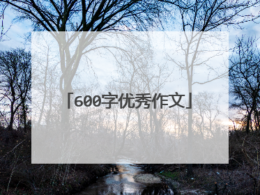 600字优秀作文