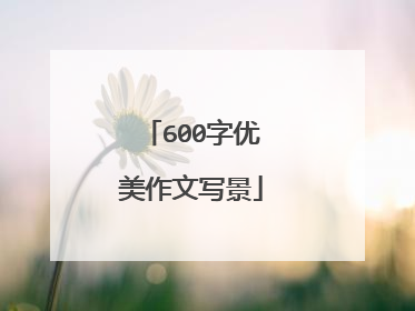600字优美作文写景