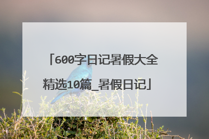 600字日记暑假大全精选10篇_暑假日记