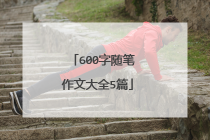 600字随笔作文大全5篇