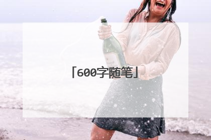 600字随笔