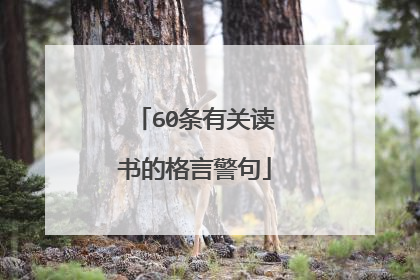 60条有关读书的格言警句