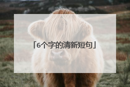 6个字的清新短句