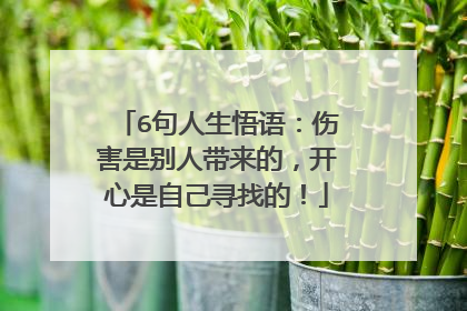 6句人生悟语：伤害是别人带来的，开心是自己寻找的！