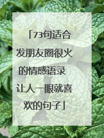 73句适合发朋友圈很火的情感语录 让人一眼就喜欢的句子