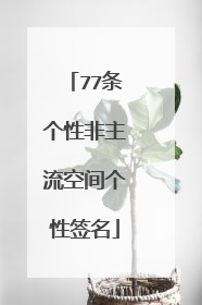 77条个性非主流空间个性签名