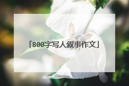 800字写人叙事作文
