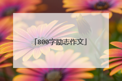 800字励志作文