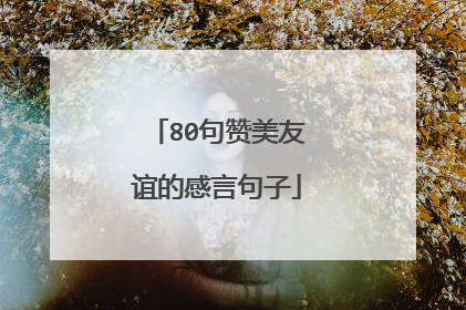 80句赞美友谊的感言句子