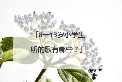 8一13岁小学生听的歌有哪些?