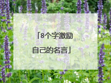 8个字激励自己的名言