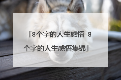 8个字的人生感悟 8个字的人生感悟集锦
