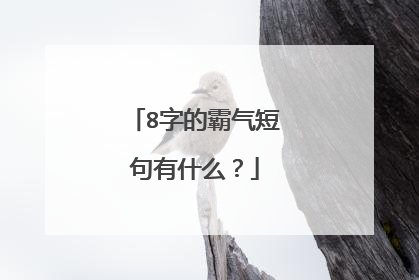 8字的霸气短句有什么?