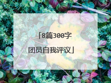 8篇300字团员自我评议