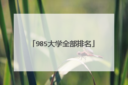 985大学全部排名