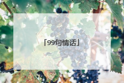 99句情话